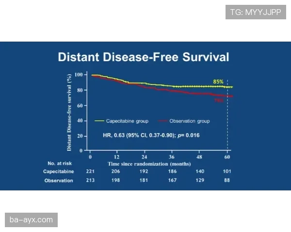 费内巴切高效节奏延续，状态回暖引关注